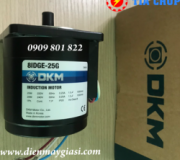 Motor DKM 8IDGE-25G
