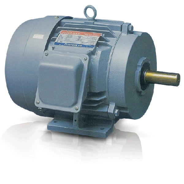 Motor điện Tatung 3 Phase
