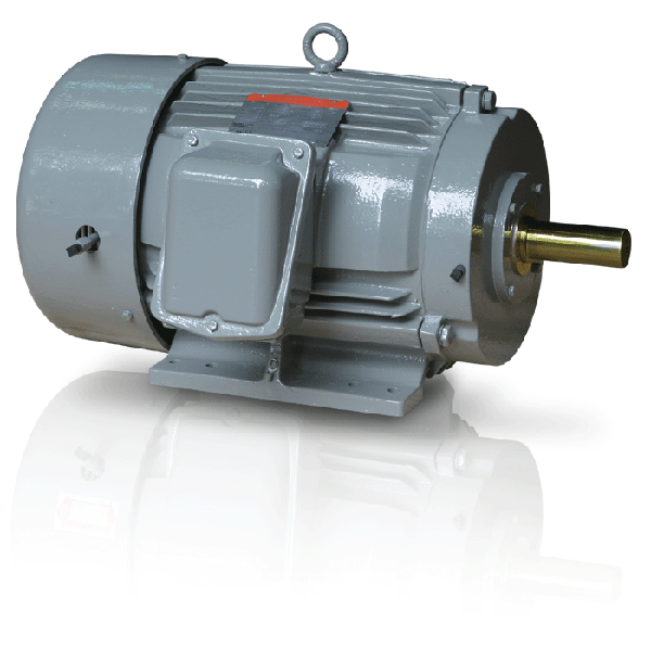 Motor điện Tatung 1 Phase