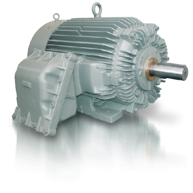 Explosion Proof NEMA Premium Efficiency Series