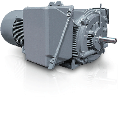 Extra-Max Energy Efficiency Series - TEFC