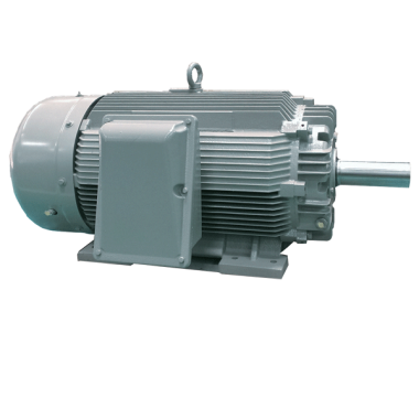 Rock Crusher Duty NEMA Premium Efficiency Motor ( NEW )