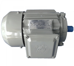 Motor Tatung 20HP